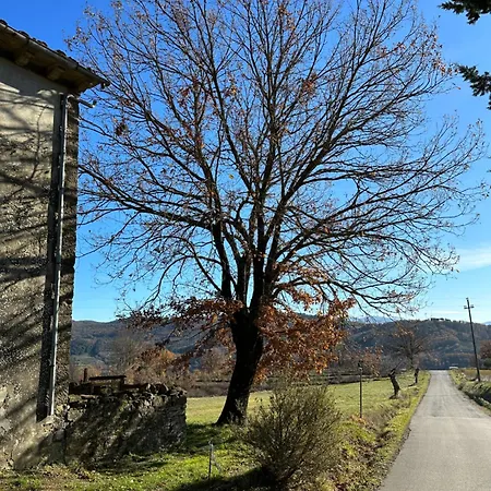 Casa Mammolo - Apartament *