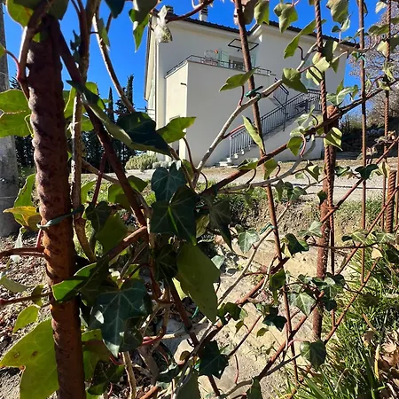 Casa Mammolo -